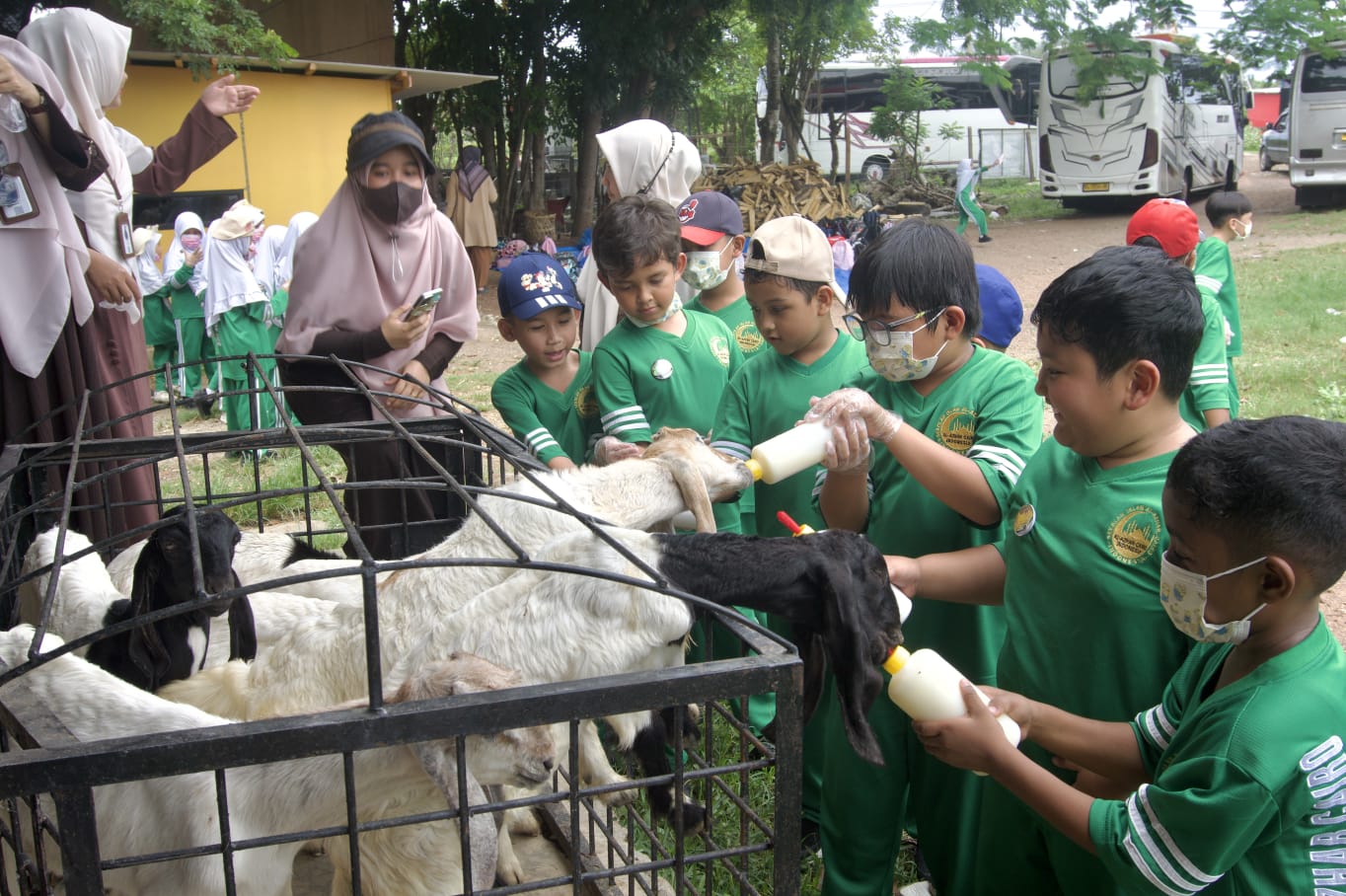 Little Explorers at The Farm (Penjelajah kecil di peternakan)